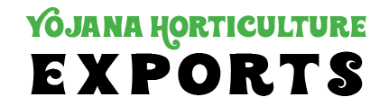 Yogana Hoticulture Exports